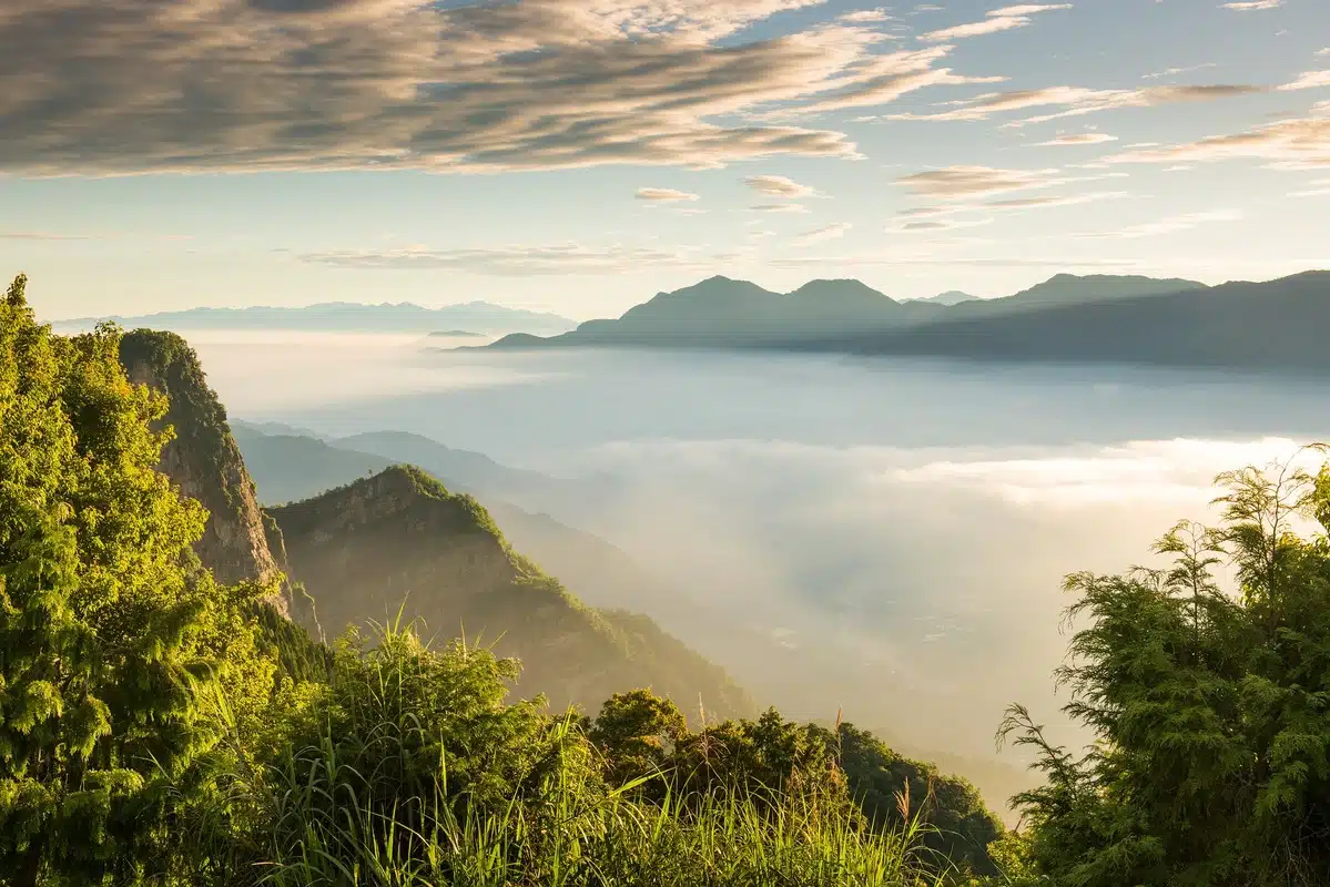 alishan-taiwan