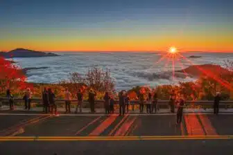 Alishan 阿里山