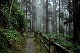 alishan-taiwan
