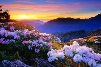 Hehuanshan 合歡山