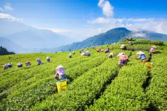 Comté de Nantou 南投縣
