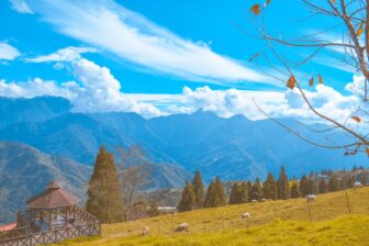 La ferme de Qingjing 清境農場