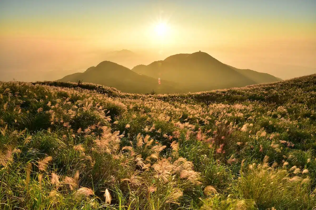 taipei-yangmingshan
