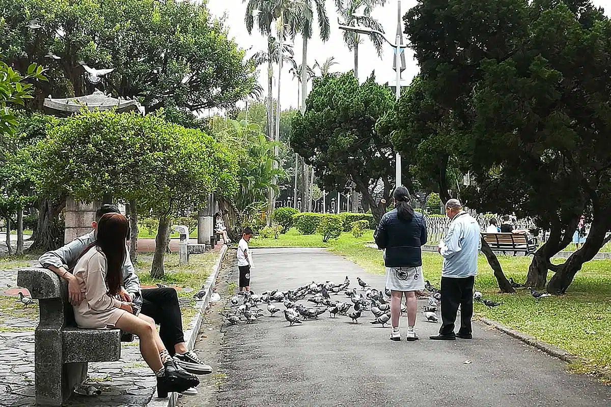 Taiwan intime – Image 11
