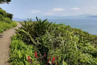 Taiwan intime