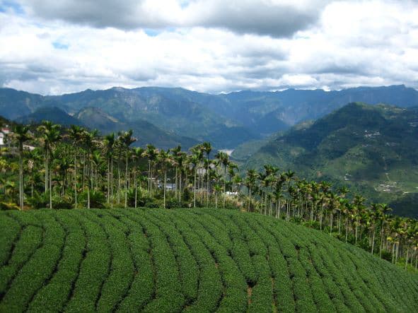 Les essentiels de Taïwan – Image 4