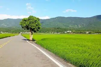 Le tour de Taïwan en petit groupe – Image 18
