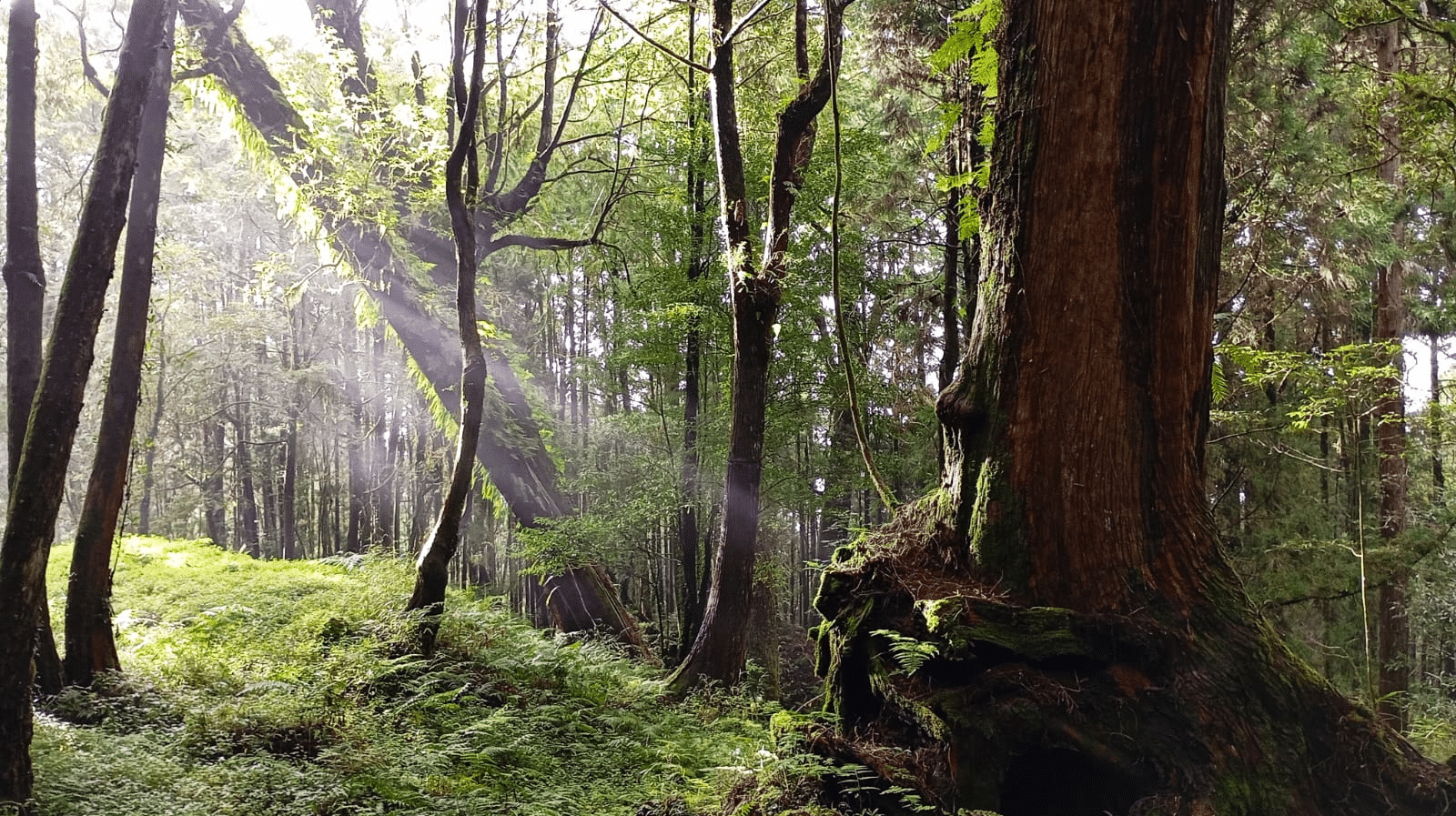 Escapade à Taïwan (5 jours) – Image 5