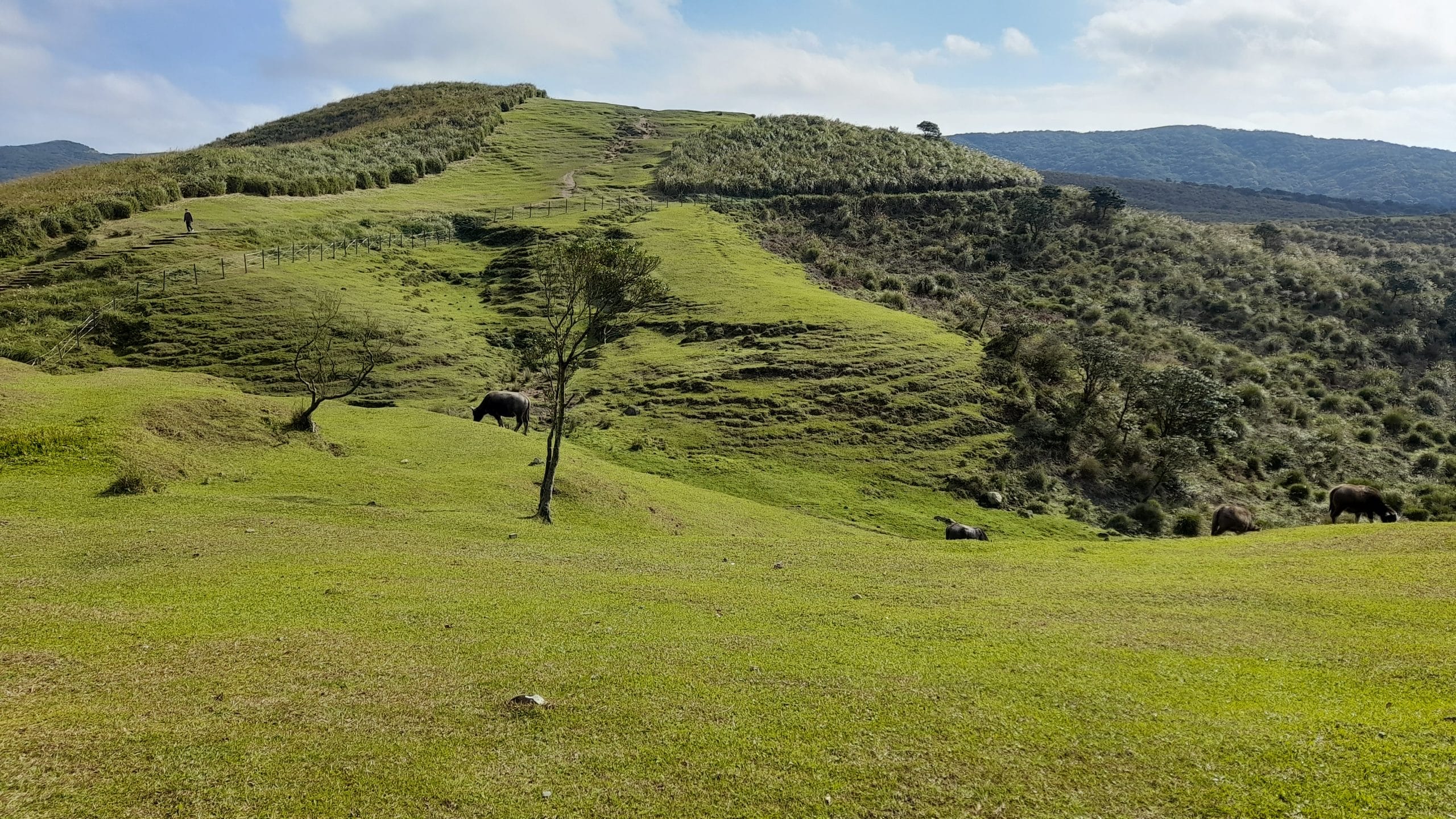 Feedback de Marie-Paule et Bernard – Les essentiels de Taiwan