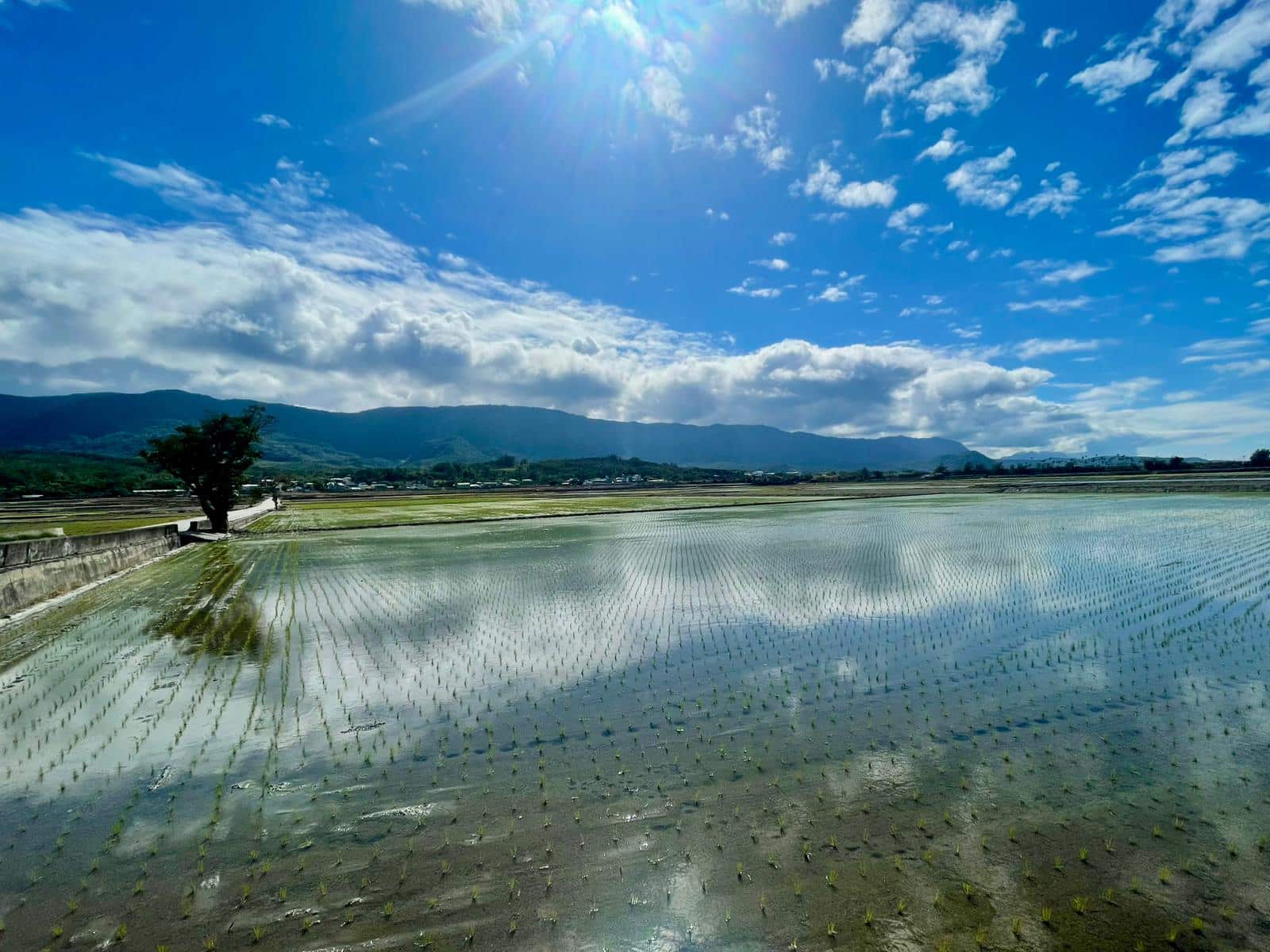 Avis de Graziella, Philippe et Alizée – séjour de 14 jours à Taïwan